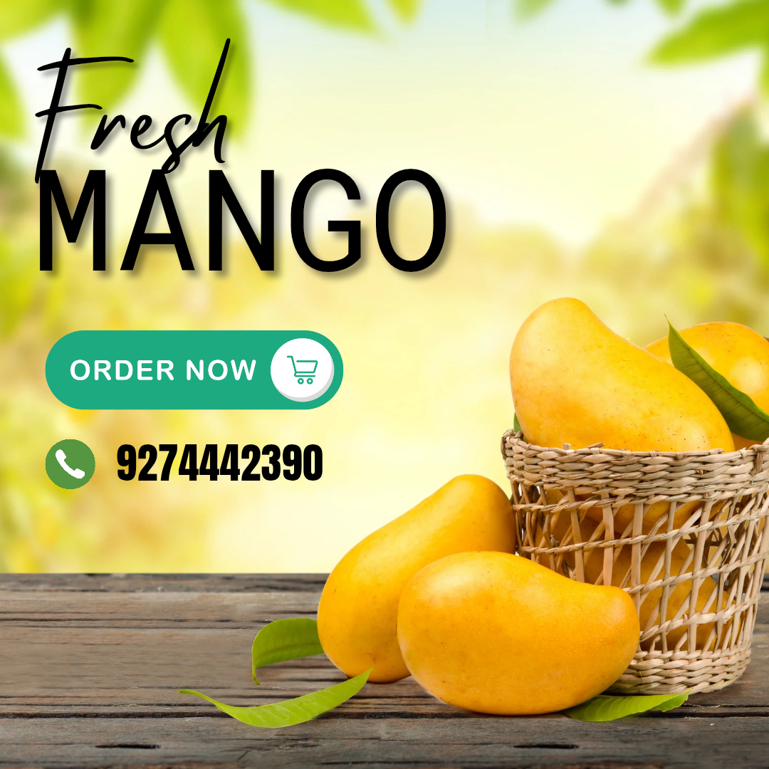 Organic Kesar Mango 🥭🥭🥭 in Vejalpur, Ahmadabad, Gujarat