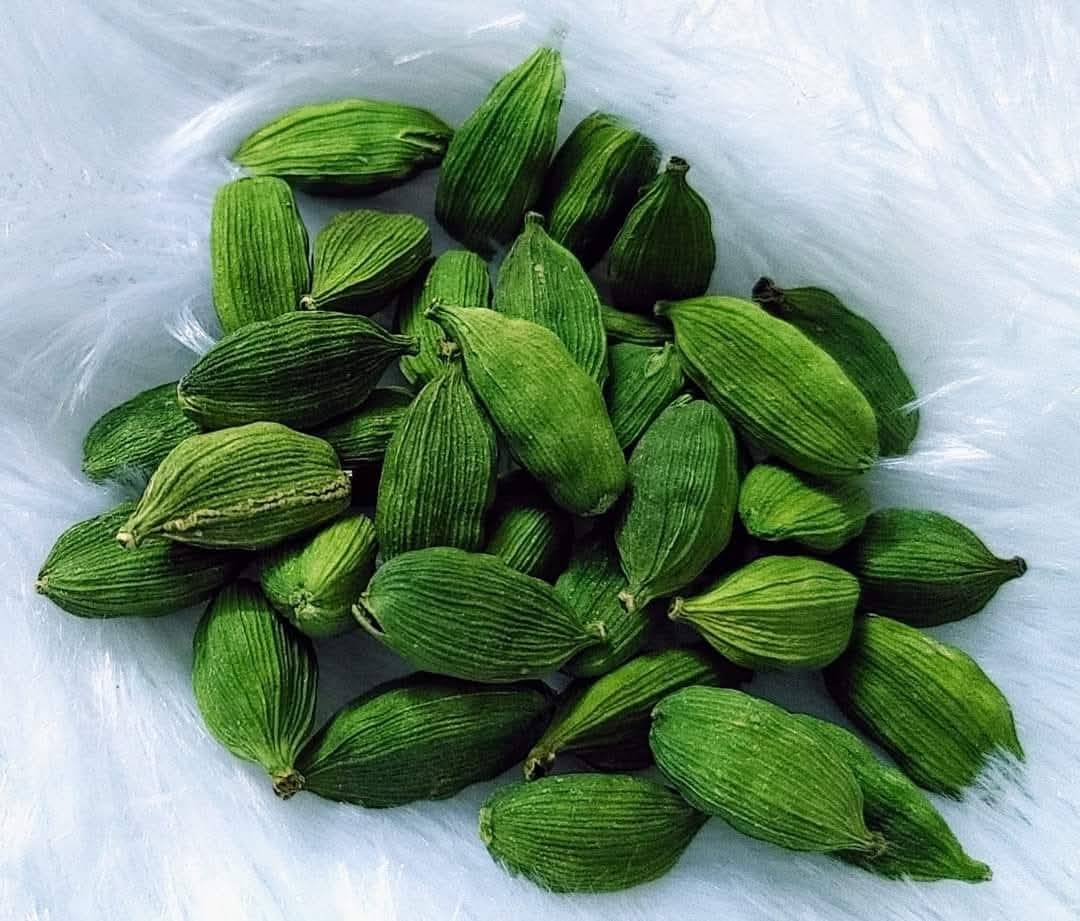 green elaichi, black elaichi plants  in Tiniali Bazar, Hojai, Assam