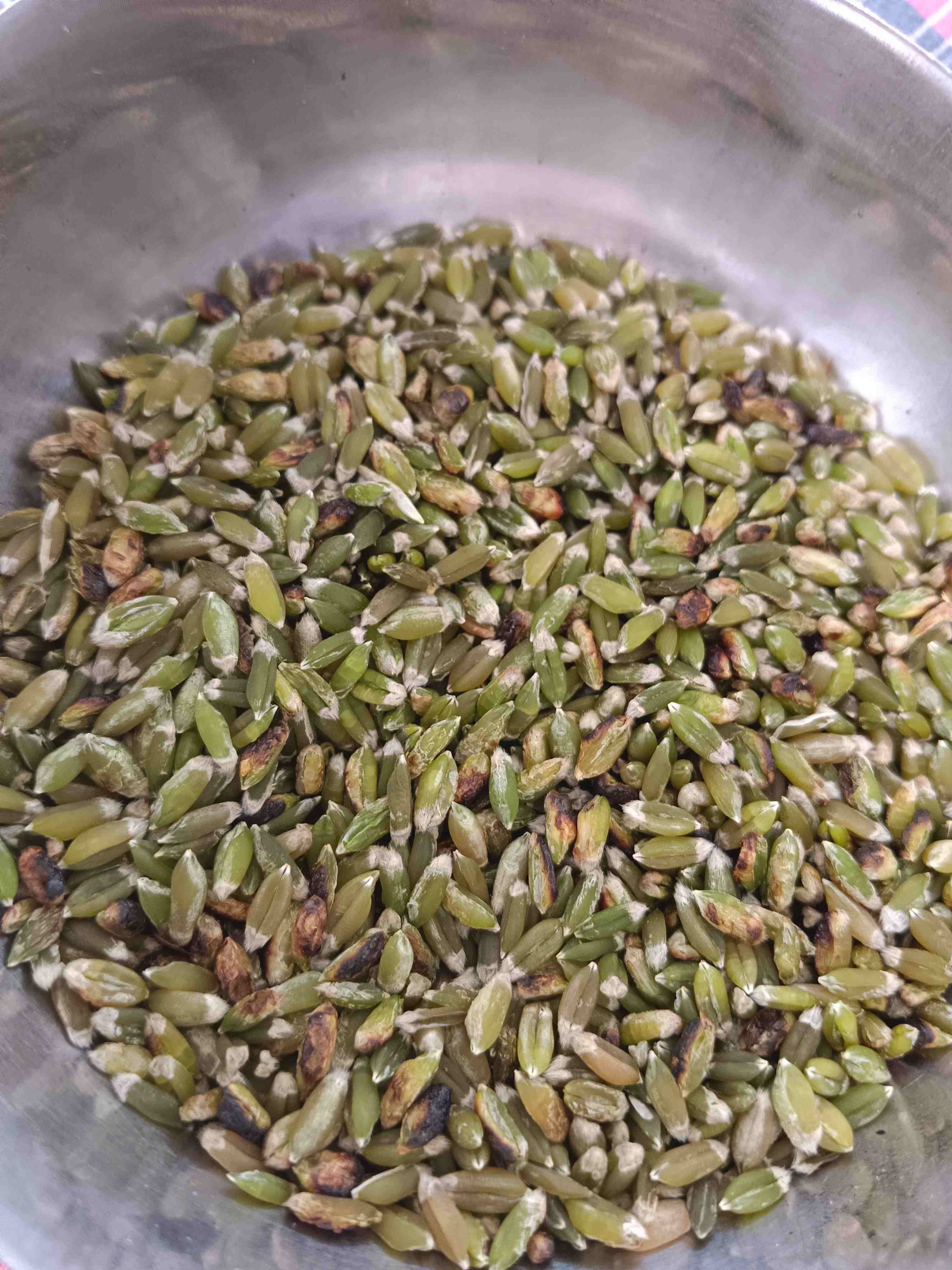 ધ‌ઉ‌નો પોક in Junagadh, Junagadh, Gujarat