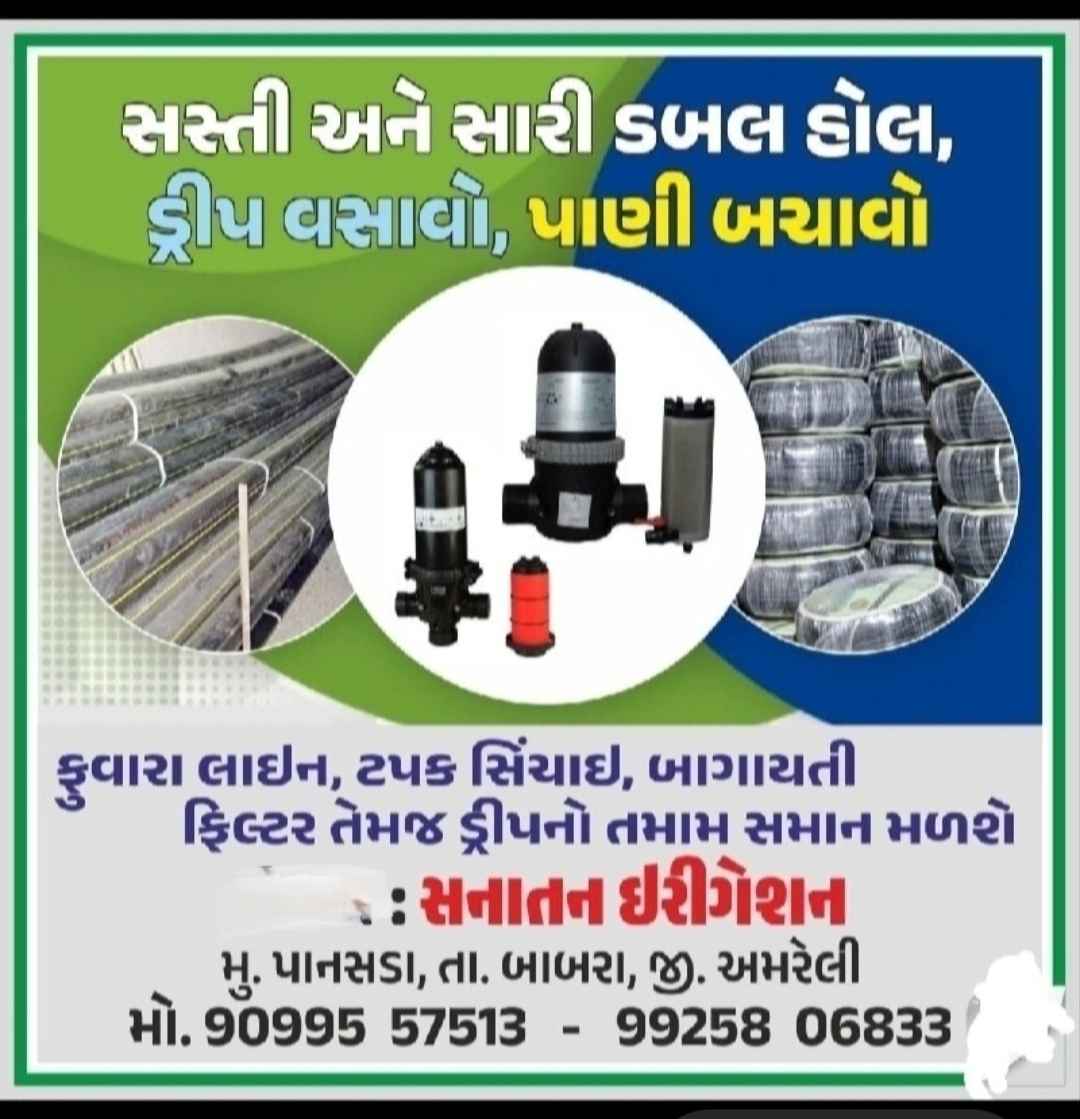 નવી ટપક in Pansada, Amreli, Gujarat