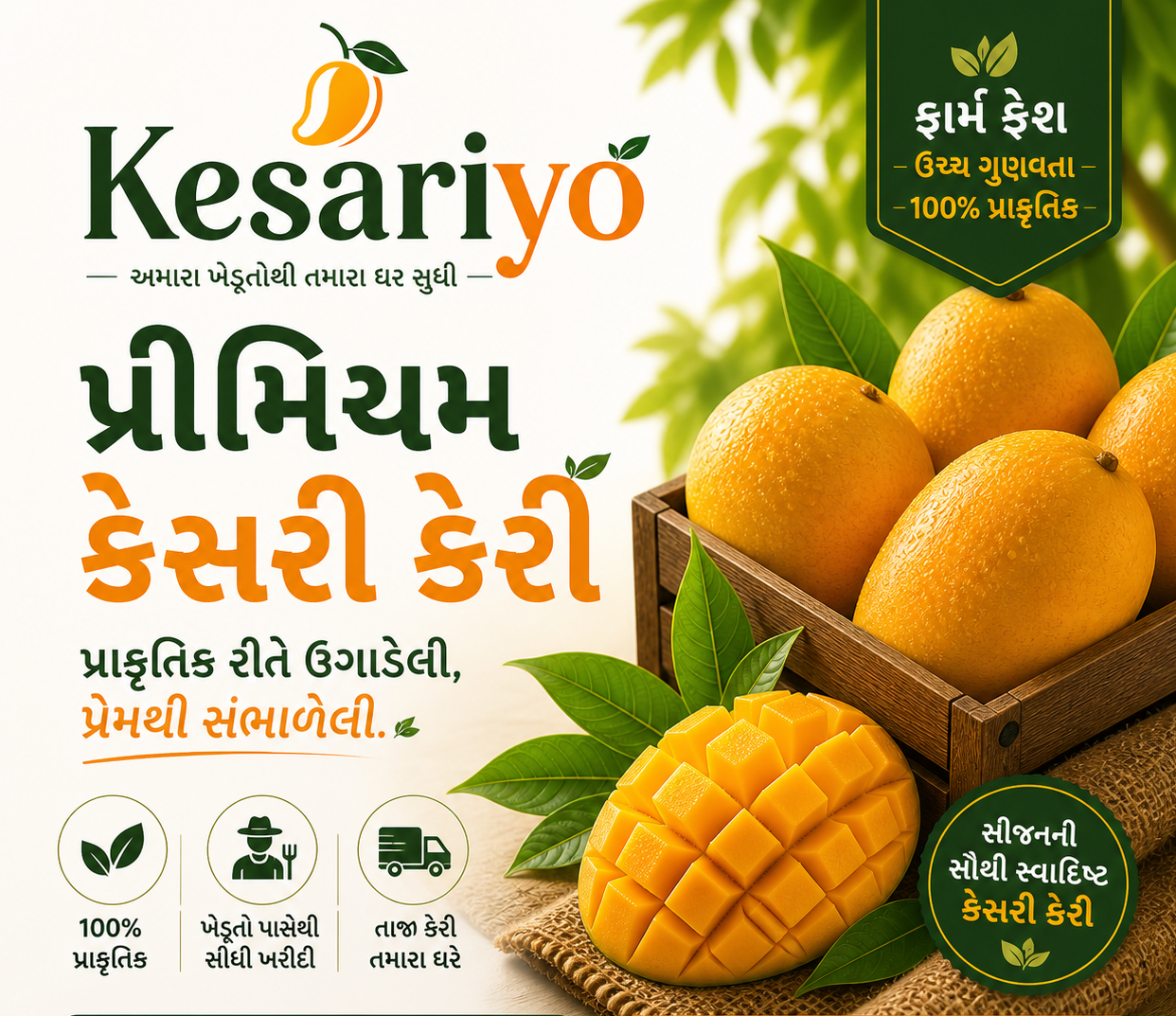 કેસર કેરી 🥭  - ફાર્મમાંથી સીધા તમારા ઘરે તાજા કેસર કેરી 🥭 કોઈ કેમિકલ નહીં, કુદરતી રીતે પાકેલી કેરી in Gota, Raigad, Maharashtra