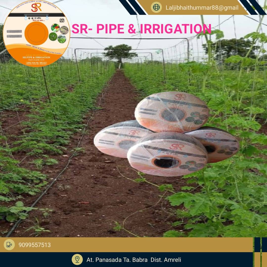 પિયત ની ટપક in Pansada, Amreli, Gujarat