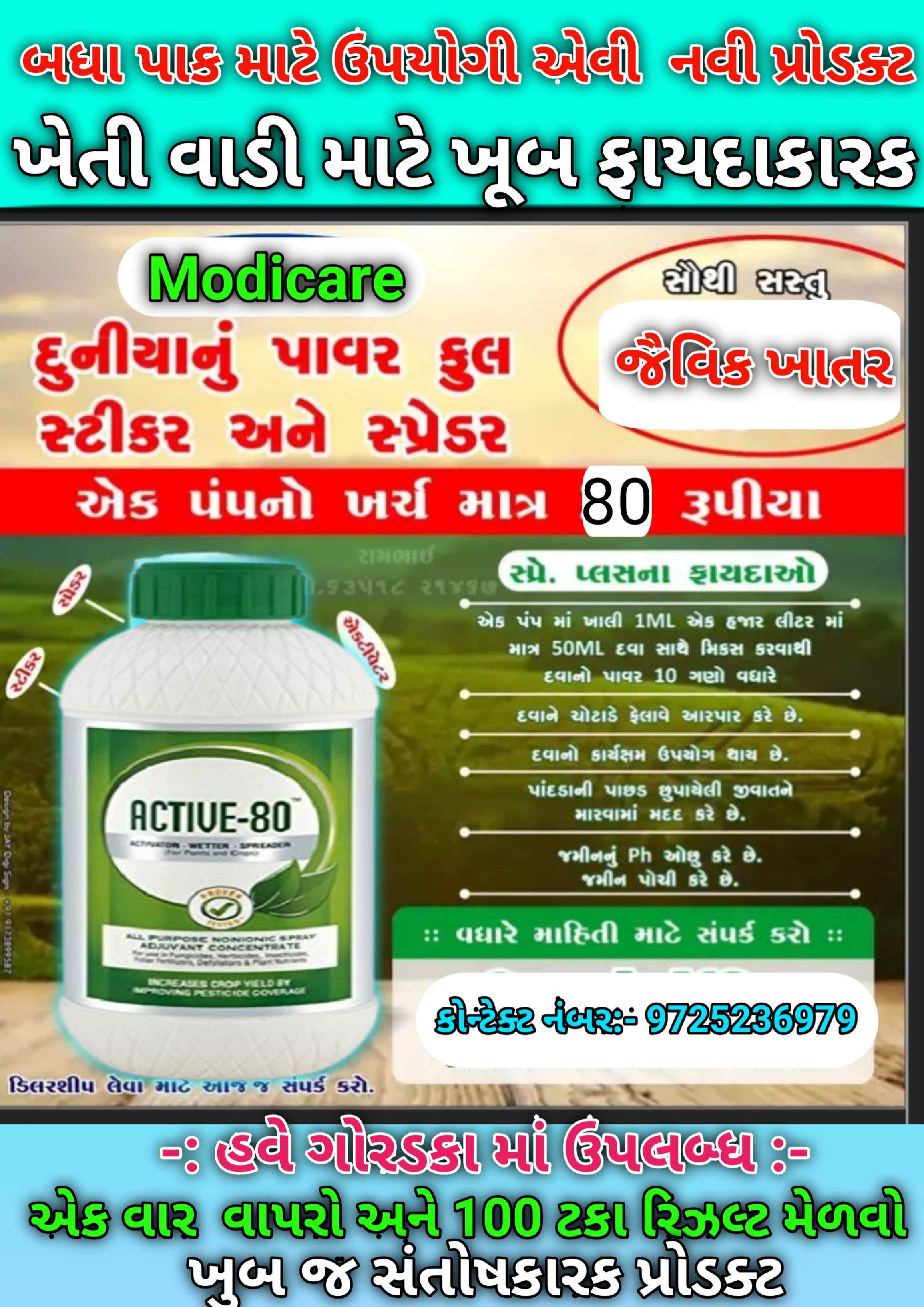 એક્ટિવ-80 in Goradka, Botad, Gujarat